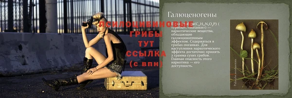 прущие крисы Балахна