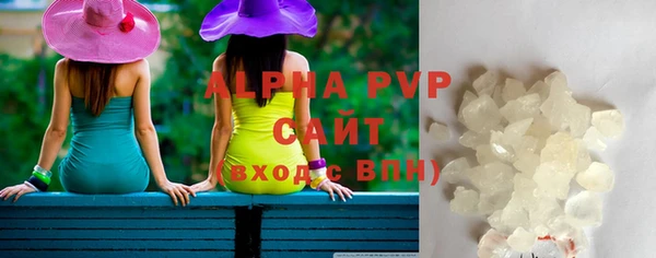 сатива Баксан