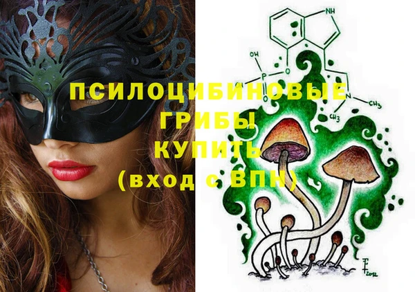 сатива Баксан